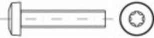 TOOLCRAFT TO-5440839 Vis à tête cylindrique M3 6 mm Torx interne Acier zingué 200 pièce(s)