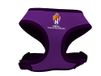 CyP Brands Real Valladolid Hondenharnas, halsband, accessoires voor huisdieren, violet, officieel product