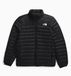 The North Face Terra Peak Jas Voor Heren