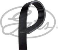 GATES 7PK1793 Micro-V Xf Ribbed V-Belt - Universeel - Stabilisatorstang - 5414465472411