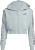 Adidas Sport Sweatshirt - Groen - Kinderen