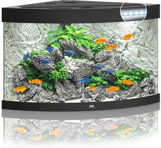 Gebr de boon Juwel Trigon 190 Aquarium - Zwart - 190L - 70 x 70 x 60 cm
