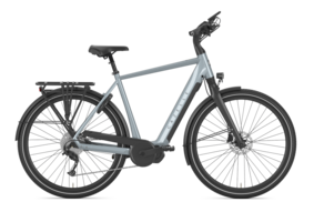 GAZELLE Chamonix T10 HMS / brewster grey glans / Heren /  / 2024