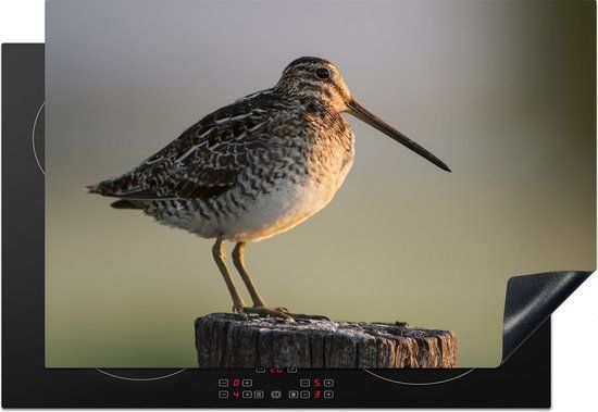 KitchenYeah® Inductie beschermer 77x51 cm - Een watersnip op een paal - Inductie beschermer voor kookplaat