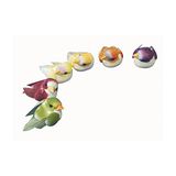 Rayher 8537949 paddenstoelvogel, 1,5 cm, SB-Btl. 6 stuks, 6 kleuren gesorteerd