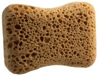 Carlinea Bruine spons 1 stuk(s)