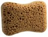 Carlinea Bruine spons 1 stuk(s)