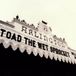 Sony Music Toad The Wet Sprocket Welcome Home: Live At The Arlington Theatre, Santa Barbara 1992 - Vinyl LP