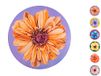 H&H Surreal Spring Set 12 placemats, rond, polypropyleen, 34 cm