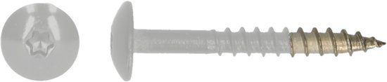 pgb-Europe PGB-FASTENERS HPL schroef Tx20 4,8x38 R7047 A4