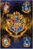 Grupo Erik Harry Potter Hogwarts Huizen Poster
