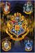 Grupo Erik Harry Potter Hogwarts Huizen Poster