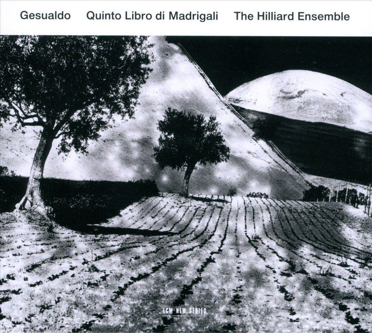 Sonic The Hilliard Ensemble - Gesualdo - Quinto Libro Di Madrigali - Muziek