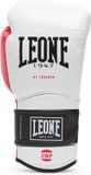 Leone1947 Il Tecnico N3 Bokshandschoenen Wit 10 oz