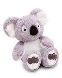 NICI Koala Barry 61718 Knuffeldier, zacht pluche, schattig om te knuffelen en te spelen, voor kinderen en volwassenen, grijs, 35 cm