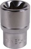 Seneca Bol Torx dop 1/2 e24