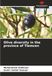 Olive diversity in the province of Tlemcen