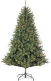 Black Box Kunstkerstboom Norwood Groen LED - Ø150x230 cm