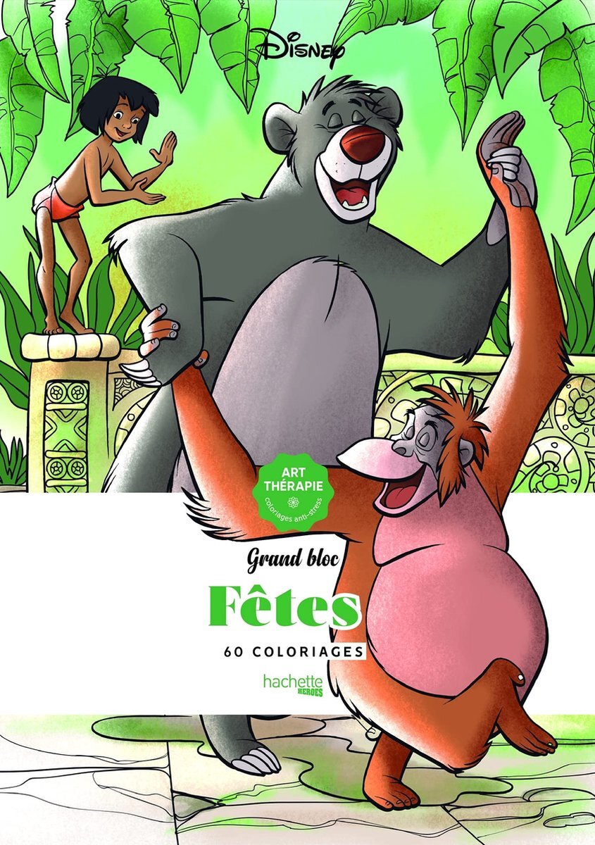 hachette pratique Grand bloc Fêtes - Disney Coloring book