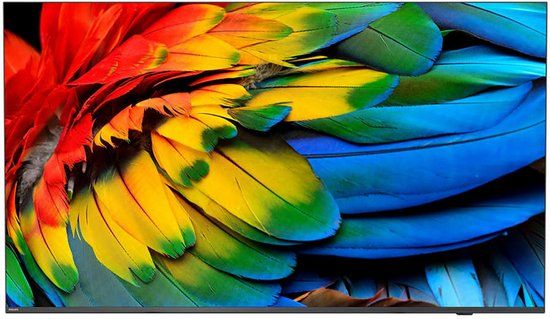 Philips 50HFL6214U / LED-LCD screen / 50 inch / 2023