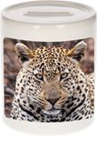 Bellatio Decorations Bol Dieren jaguar foto spaarpot 9 cm