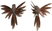 House of Seasons Kolibries vogels op clip - 2x st - bruin - 12 x 13 x 7,5 cm