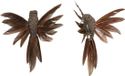 House of Seasons Kolibries vogels op clip - 2x st - bruin - 12 x 13 x 7,5 cm