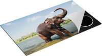 Chefcare Inductie Beschermer Vrolijke Olifant 90x55 cm - Multicolor
