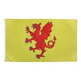 AZ FLAG Vlag Somerset 90x60 cm Polyester