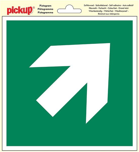 Pickup Pictogram 20x20 cm - Vluchtweg pijl schuin