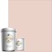 JESUS Peinture Résine Époxy 0,75l Brillant 10m² Rose Poudré
