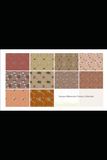Autumn in Kyoto Watercolor Pattern Collection