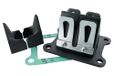 POLINI Klep 50 a box carbon voor derbi 50 senda, gpr-gilera 50 smt, rcr (euro 2, euro 3) (213.0051)