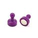 First4magnets F4MSPHP-10 High Power Purple Skittle Magneet