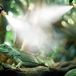 Jhubers goods Système de brumisation WiFi réglable pour forêt tropicale pour animaux de compagnie