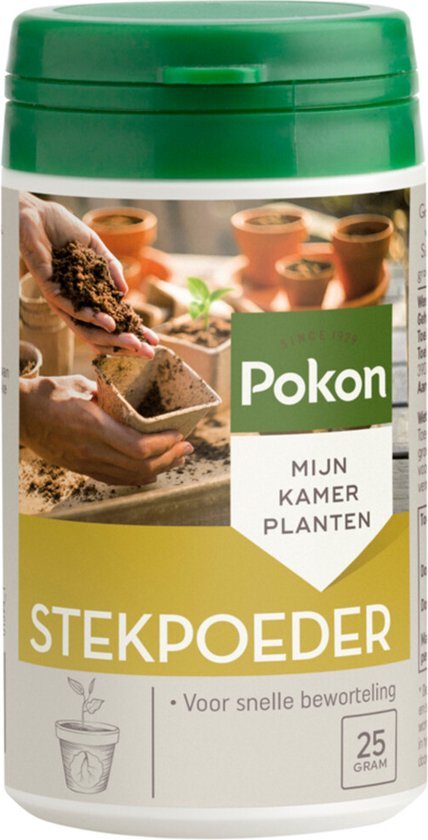 Pokon stekpoeder 25 g