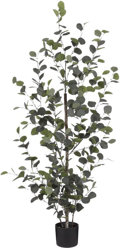 Mica Decorations Eucalyptus Kunstplant H150 x Ø30 cm