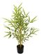 Kunstbamboe in pot, kunstboom, plant, groene plant, potplant, kamerplant, bamboeplant, bamboeboom, struik, bamboegras, citroengras, Aziatische decoratie, grassen, struiken, groen