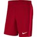 NIKE heren Voetbalshorts Vapor Knit III Short