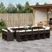 Prolenta Maison Exclusive - Tuinset voor buiten, 15-delig, met kussens, bruin, van gevlochten polyraan