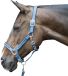 HKM Crystal zacht onderlegd Halster set met karabijn Zwart Shetland pony