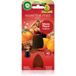 Air Wick Essential Mist