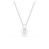 Swarovski 5693897 Zilver