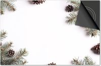 Dietrix Inductie Beschermer 60x52 - Feestdagen Kerst - Afdekplaat Inductie Mat