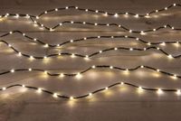 Anna's Collection guirlande lumineuse noir 100LED 3 mètre blanc chaud 6/18h timer 3xAA/IP44 à piles