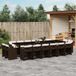 Prolenta Maison Exclusive Tuinset voor buiten, 17-delig, met kussens, bruin, van gevlochten polyraan