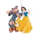 Hallmark Ornament L93 FC Snow White