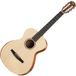 Taylor Guitars Taylor Academy 12e-N Natural