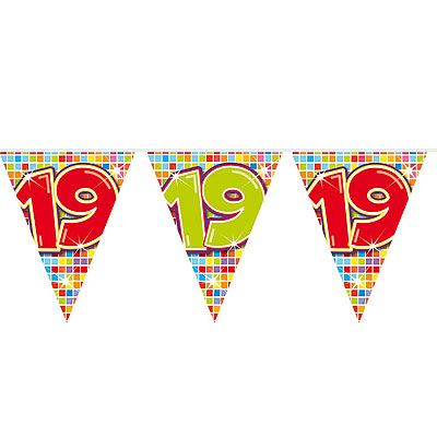 MINI Vlaggenlijn Blocks 19 Jaar 6mtr