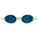 Nike Lunettes de natation Legacy Mirrored